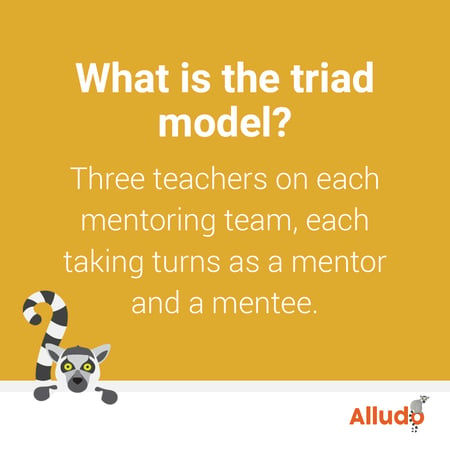 what is the triad model